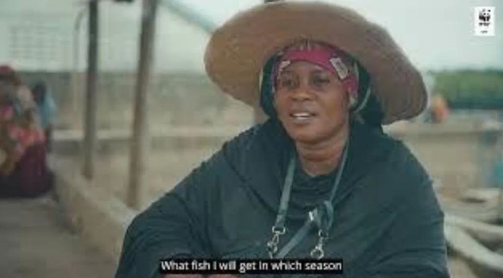 A woman in a wide straw hat speaking to camera at a fish landing site